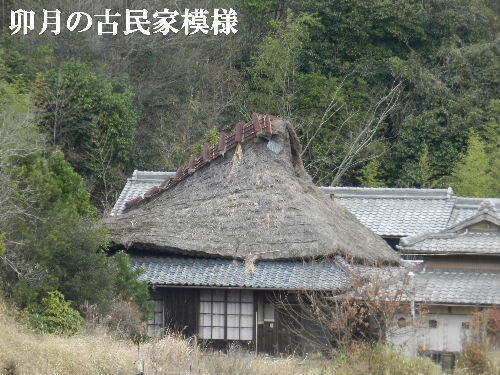 2025-04・01　卯月の古民家模様 (4).JPG